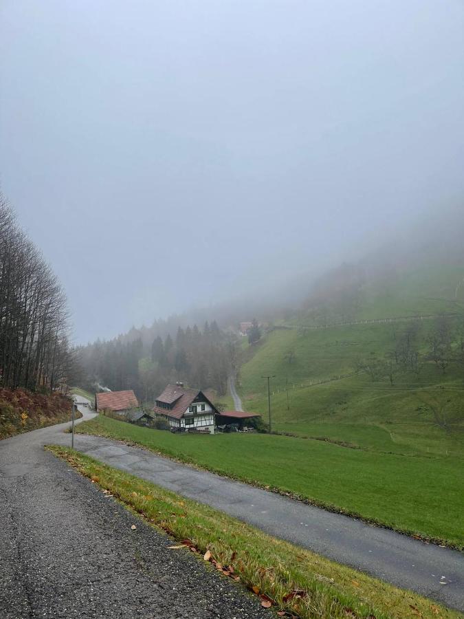 Einzigartiges Apartment, Mitten In Der Natur 黑林山区奥滕赫芬 外观 照片