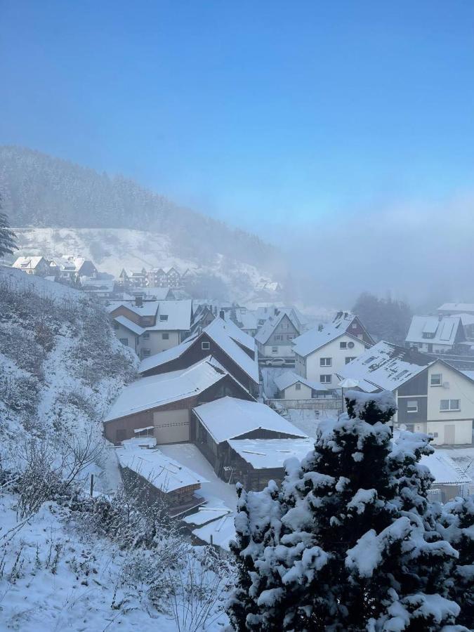 Einzigartiges Apartment, Mitten In Der Natur 黑林山区奥滕赫芬 外观 照片